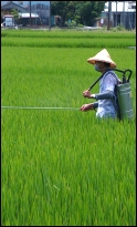 Power Water Pump Manufacturer Sprayer Manufacturer